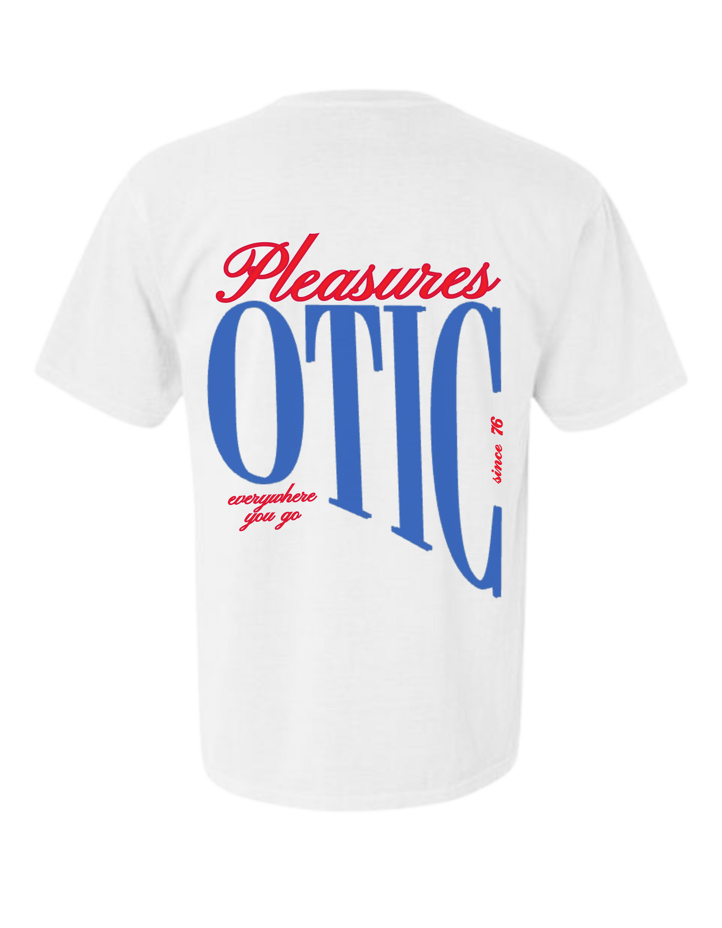 PATRIOTIC PLEASURES T-SHIRT
